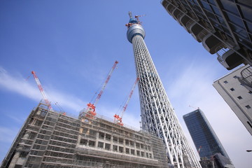 Tokyo sky tree under construction