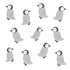 エンペラーペンギンのヒナの背景