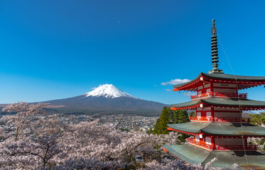 Mount Fuji viewed from behind Chureito Pagoda in full bloom cherry blossoms springtime sunny day in clear blue sky natural background. Arakurayama Sengen Park, Fujiyoshida, Yamanashi Prefecture, Japan