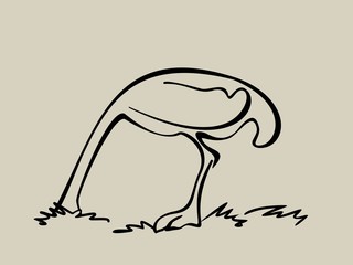 Linear silhouette of an ostrich.