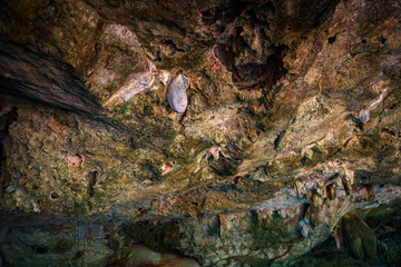 Cenote Dos Ojos with clear blue water