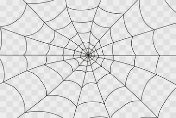 Fototapeta premium Cobweb isolated on white