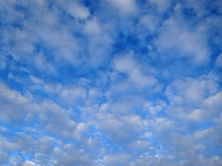 Fluffy Clouds in a blue sky
