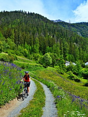 Fototapeta na wymiar Swiss Alps-view on the cyclist to path from Raschvella