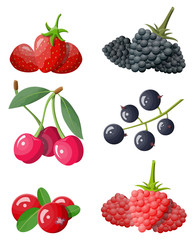 Berry icon set. Cranberry, black currant, backberry, blueberry, red currant, raspberry, strawberry and cherry.Berries with green leaves. Organic healthy food. Vector illustration flat style