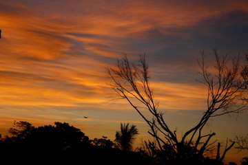 amanecer1