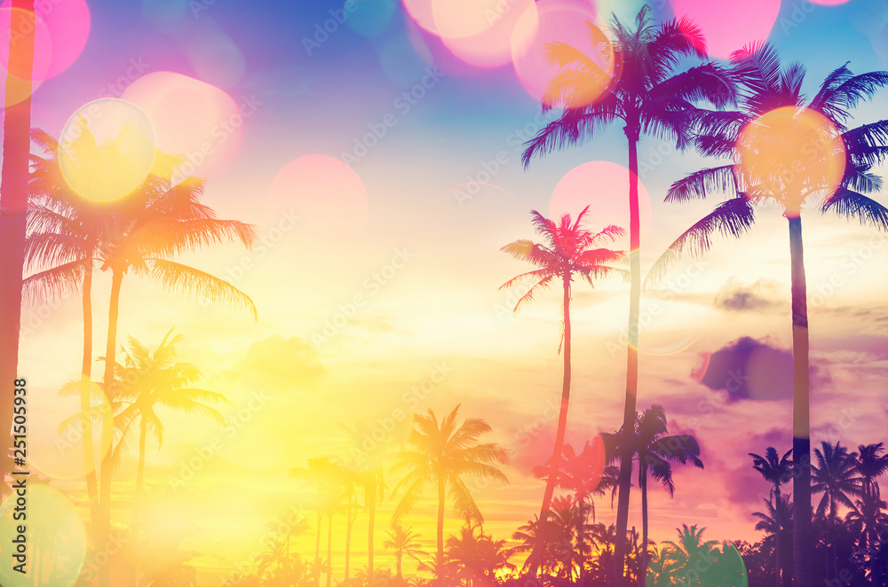 Wall mural tropical palm tree with colorful bokeh sun light on sunset sky cloud abstract background.
