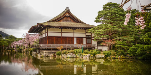 Ancient wooden palace with cherry blossom