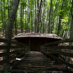 wooden bridge