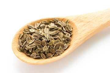 ディル（Dill）の種子