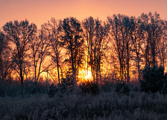 Naklejka premium sunrise on a frosty winter morning
