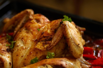 Сhicken with red pepper harissa sauce