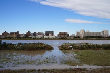 Obraz premium 多摩川・豪雨による氾濫