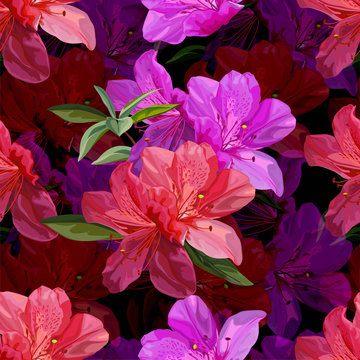 Floral seamless pattern with azalea vector illustration