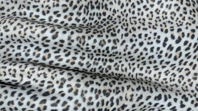White skin of a leopard in motion. Background of the canvas ripples.