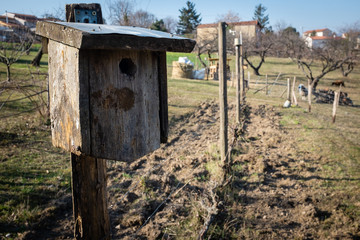 Vieux nichoir en bois 