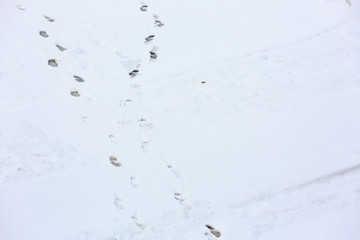 Traces of the tractor on the snow-covered road. View from above.
