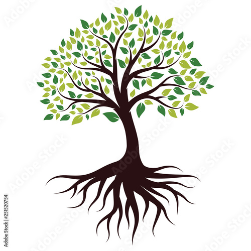 "Vector Illustration for Green Tree with Roots" Stock image and royalty