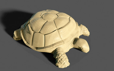 turtle isolated on white background