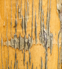 Old wooden board as background