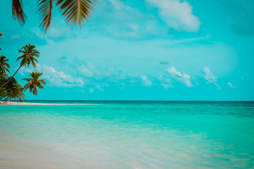 Fototapeta na wymiar tropical sand beach with palm trees, vacation concept