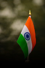 Tricolor national flag of India consists of Saffron white and green colours respectively with the Ashoka Chakra in the middle. 