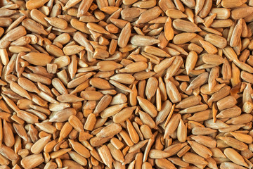 Hulled organic sunflower seed, top view