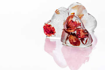 Obraz na płótnie Canvas Frozen rose in ice cube