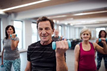 Fototapeta na wymiar Group of cheerful seniors in gym doing exercise with dumbbells.