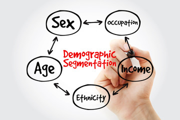 Hand writing with marker Demographic segmentation mind map flowchart social business concept for presentations and reports