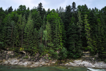 Fototapeta na wymiar mountain river in the background of a cliff with a forest and mountains