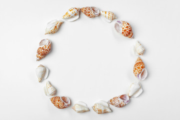 Composition of exotic seashells