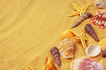 Seashells on sand. Sea summer vacation background