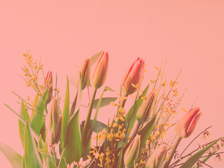 Beautiful bunch of tulips on pastel background