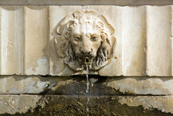 Fontaine lion Bas relief place Cathédrale Saint-Martin de Lucques (Lucques Toscane Italie)