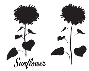 Sunflower silhouette vector illustration. Set of flower elements. 