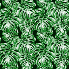 Naklejka na ściany i meble Watercolor seamless pattern of tropical leaves.