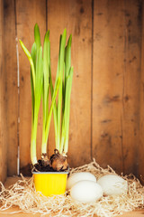 Green in yellow pot and white eggs, wooden ground
