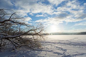 Fototapeta na wymiar Wintry landscape view on the lake ice on a cold winter morning in Finland. Branches in front with blue sky and sunrise.