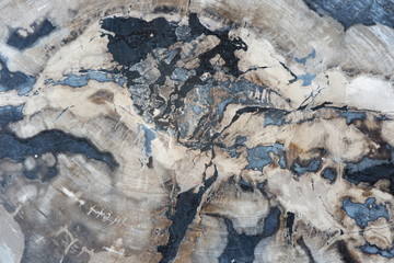 textures from fossilized wood © andi