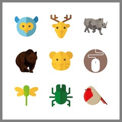 9 wildlife icon. Vector illustration wildlife set. beetle and tiger icons for wildlife works