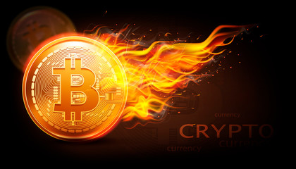 Crypto currency background with bitcoin and fire