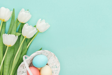 Top view of tulip flowers and easter eggs in wicker basket isolated on blue with copy space