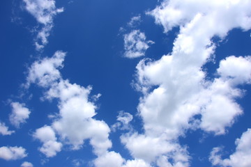 Weiße Cumuluswolken - blauer Himmel