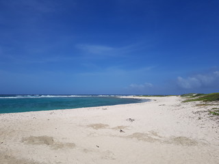 Dream beach with a lot of fine sand in Aruba