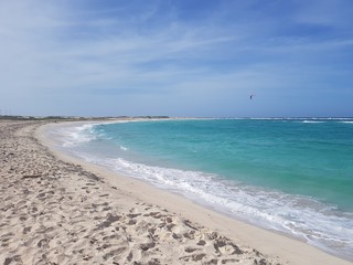 Romantic sandy Caribbean beach 