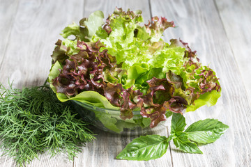 Image with lettuce leaves.
