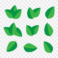 Vector menthol healthy aroma. Mint leaves vector logo