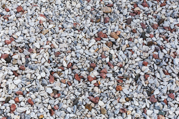 Seashells on the beach