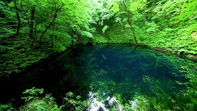 十二湖の青池